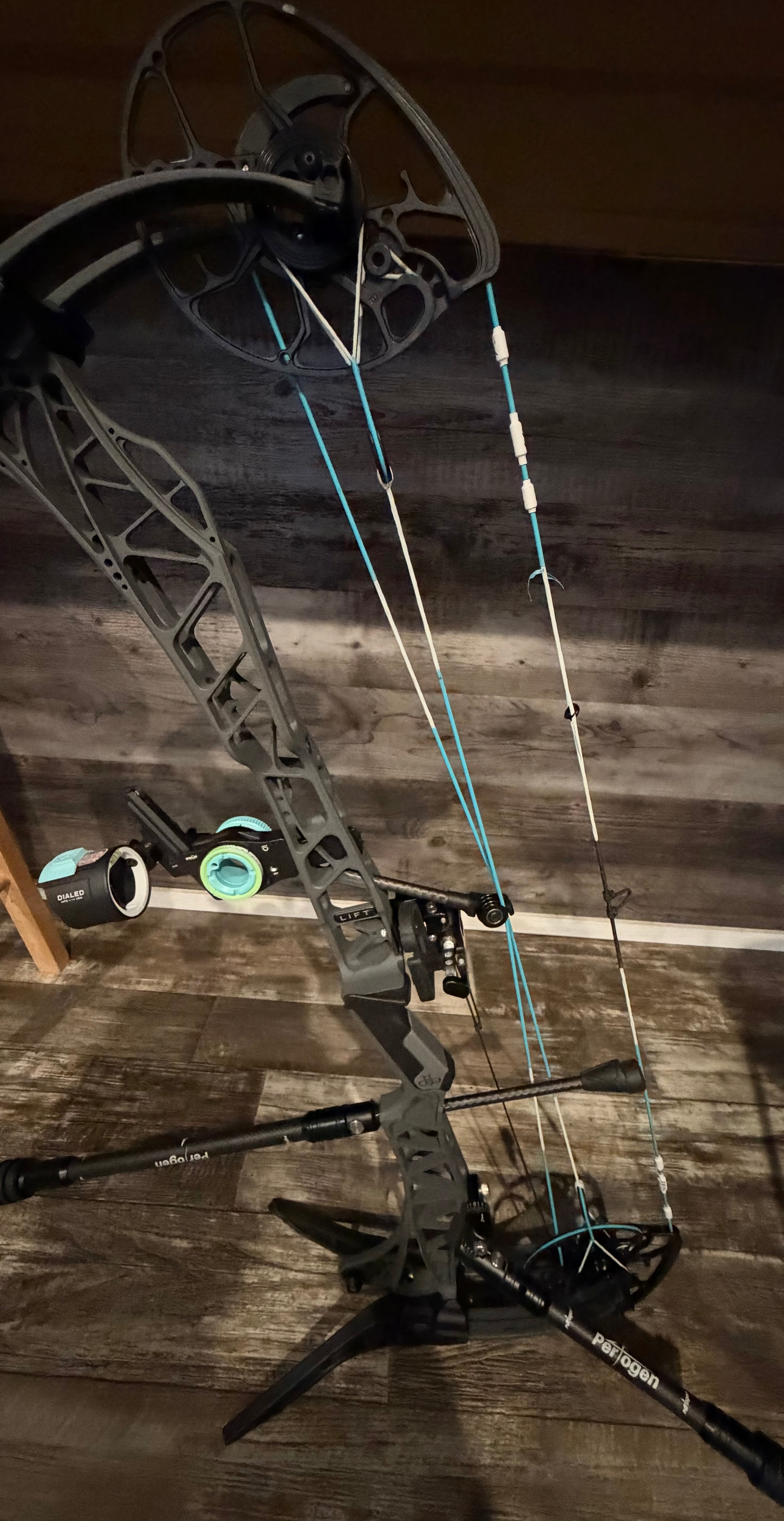 Compound bow with teal strings