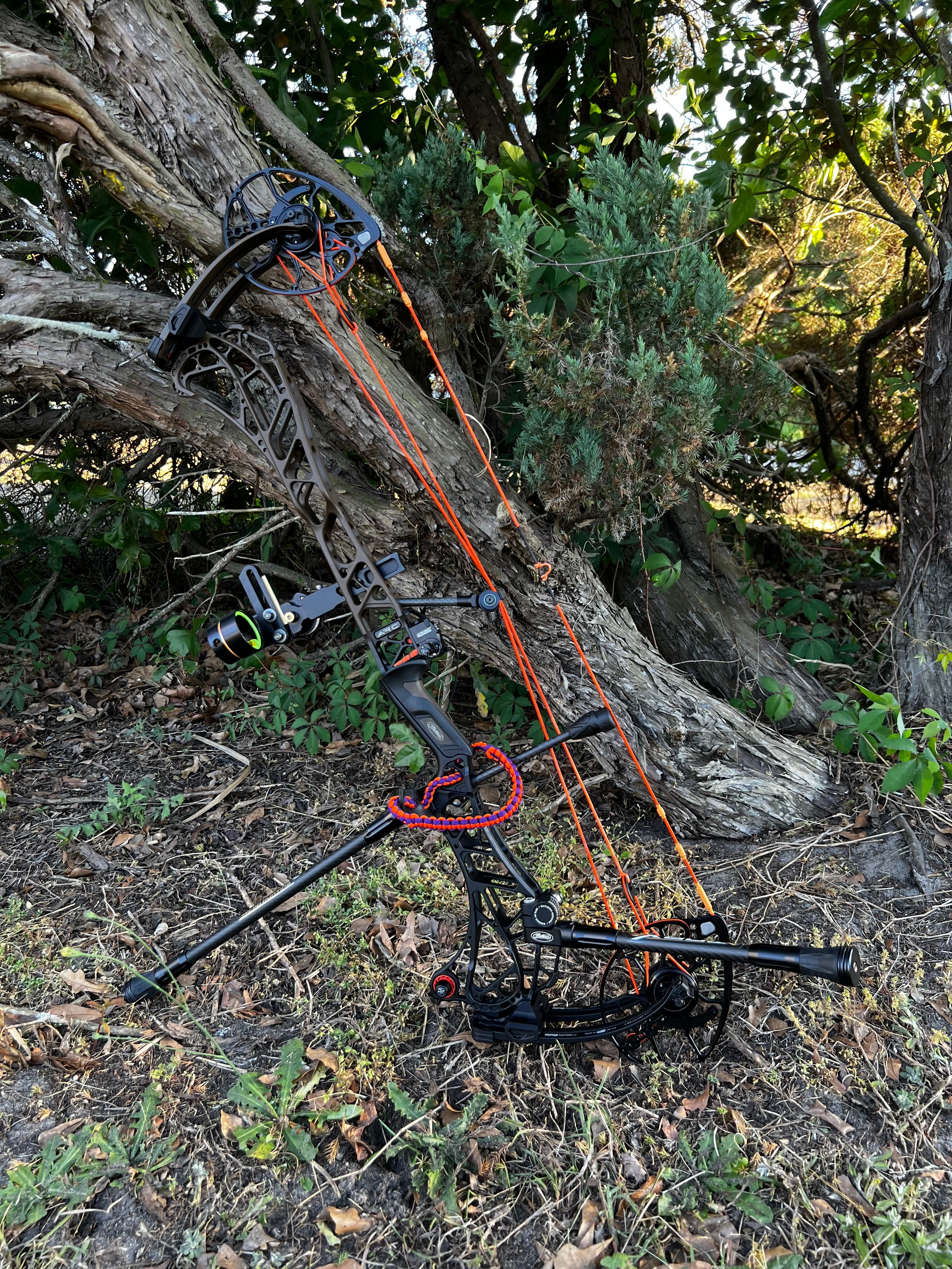 Compound bow in outdoor setting